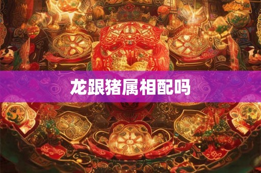 龙跟猪属相配吗