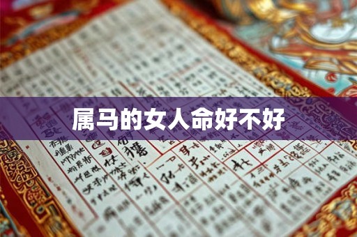 属马的女人命好不好