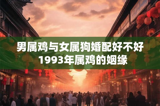 男属鸡与女属狗婚配好不好  1993年属鸡的姻缘