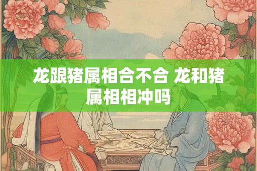龙跟猪属相合不合 龙和猪属相相冲吗