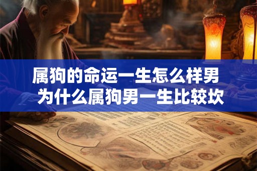 属狗的命运一生怎么样男 为什么属狗男一生比较坎坷 属狗的命运一生怎么样男 为什么属狗男一生比较坎坷