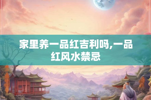 家里养一品红吉利吗,一品红风水禁忌