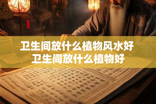 卫生间放什么植物风水好 卫生间放什么植物好