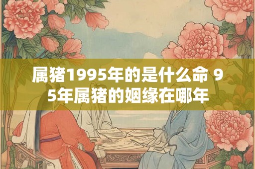 属猪1995年的是什么命 95年属猪的姻缘在哪年