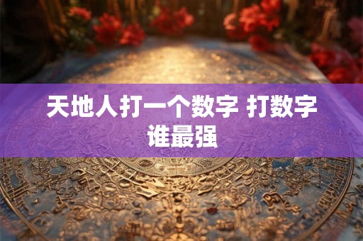 天地人打一个数字 打数字谁最强
