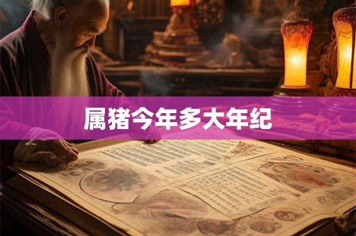 属猪今年多大年纪