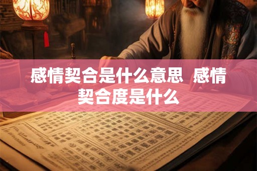 感情契合是什么意思  感情契合度是什么