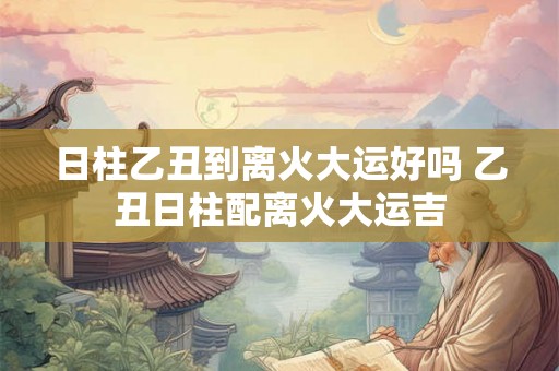 日柱乙丑到离火大运好吗 乙丑日柱配离火大运吉