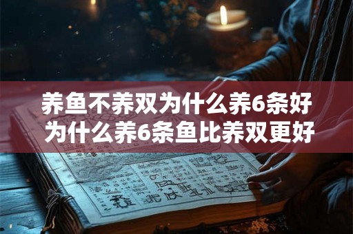 养鱼不养双为什么养6条好 为什么养6条鱼比养双更好 养鱼不养双为什么养6条好 为什么养6条鱼比养双更好
