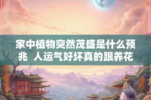 家中植物突然茂盛是什么预兆 人运气好坏真的跟养花有关吗 家中植物突然茂盛是什么预兆 人运气好坏真的跟养花有关吗