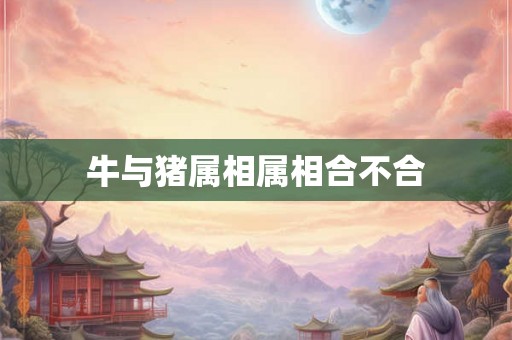 牛与猪属相属相合不合