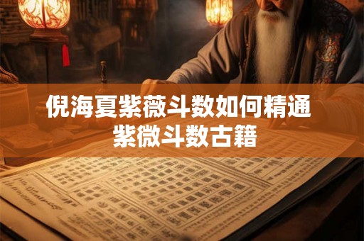 倪海夏紫薇斗数如何精通 紫微斗数古籍 倪海夏紫薇斗数如何精通 紫微斗数古籍