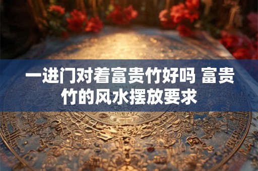 一进门对着富贵竹好吗 富贵竹的风水摆放要求