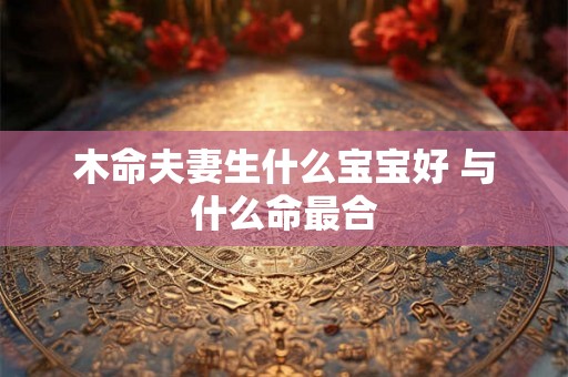 木命夫妻生什么宝宝好 与什么命最合