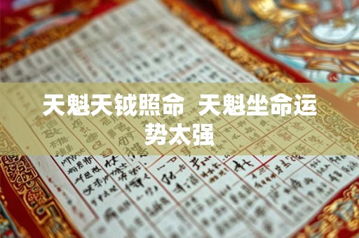 天魁天钺照命  天魁坐命运势太强