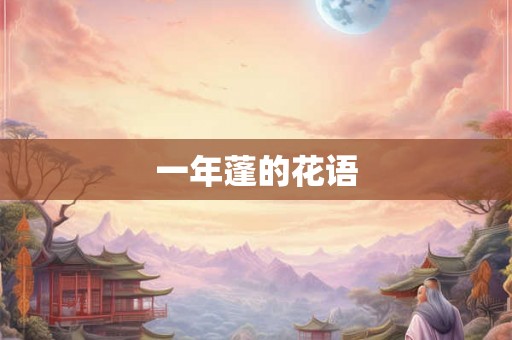 一年蓬的花语