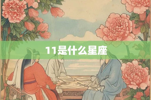 11是什么星座