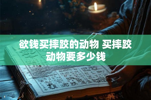 欲钱买摔跤的动物 买摔跤动物要多少钱