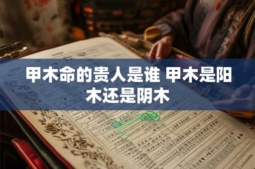 甲木命的贵人是谁 甲木是阳木还是阴木