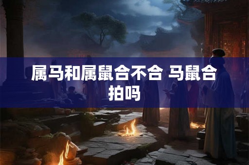 属马和属鼠合不合 马鼠合拍吗 属马和属鼠合不合 马鼠合拍吗