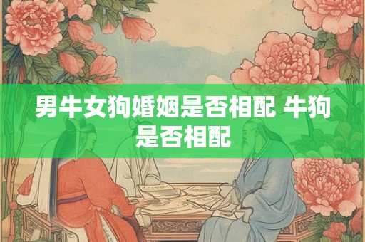 男牛女狗婚姻是否相配 牛狗是否相配