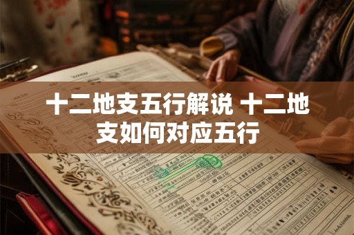 十二地支五行解说 十二地支如何对应五行