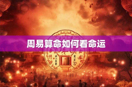 周易算命如何看命运