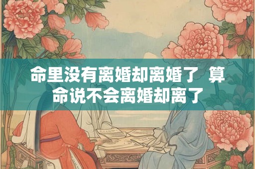命里没有离婚却离婚了  算命说不会离婚却离了