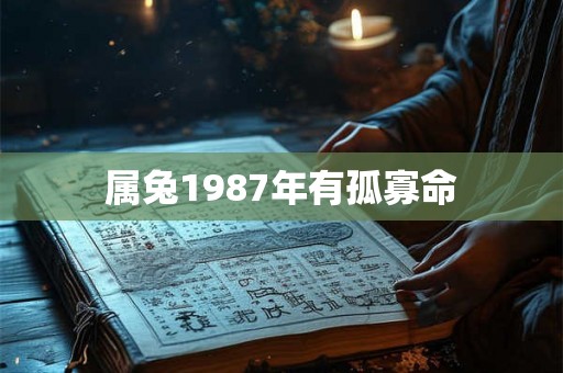 属兔1987年有孤寡命