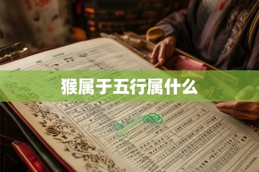 猴属于五行属什么