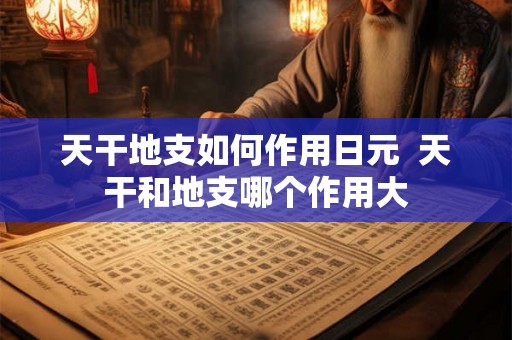 天干地支如何作用日元  天干和地支哪个作用大
