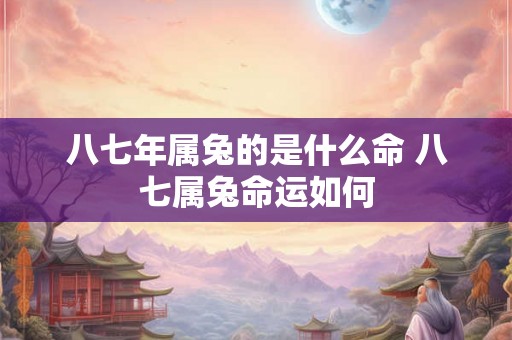 八七年属兔的是什么命 八七属兔命运如何