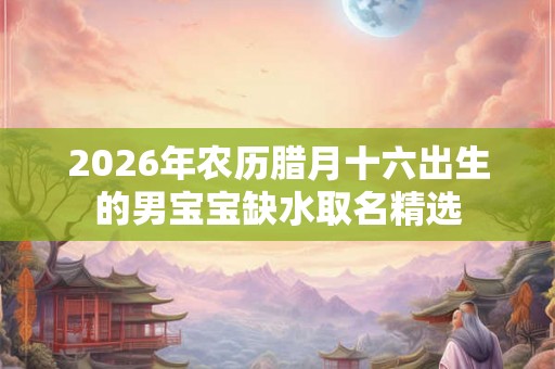 2026年农历腊月十六出生的男宝宝缺水取名精选