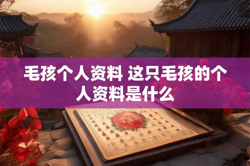 毛孩个人资料 这只毛孩的个人资料是什么