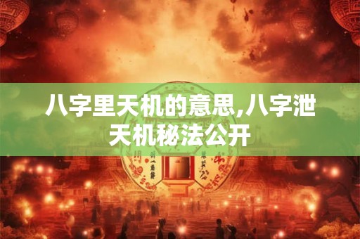八字里天机的意思,八字泄天机秘法公开
