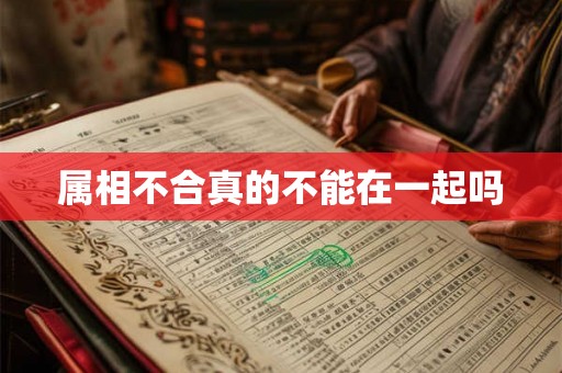属相不合真的不能在一起吗