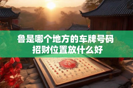 鲁是哪个地方的车牌号码  招财位置放什么好