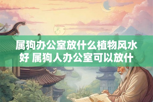 属狗办公室放什么植物风水好 属狗人办公室可以放什么