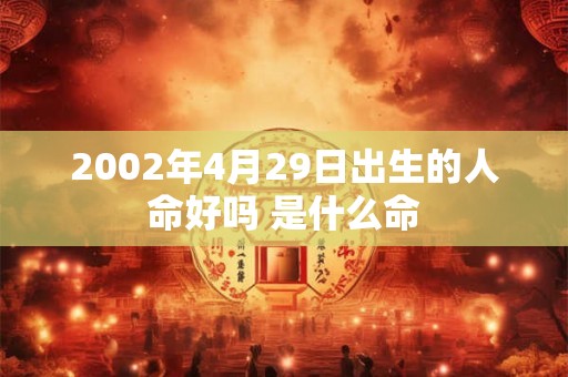 2002年4月29日出生的人命好吗 是什么命