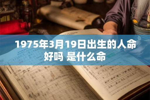 1975年3月19日出生的人命好吗 是什么命