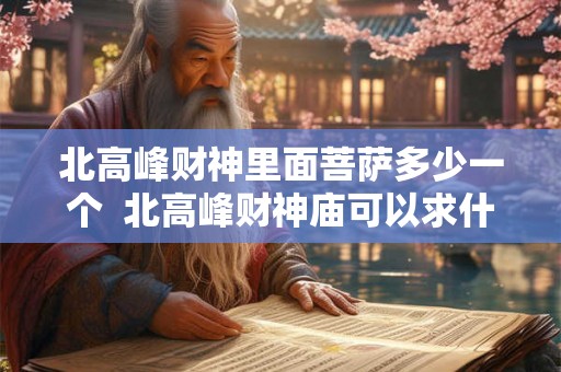 北高峰财神里面菩萨多少一个  北高峰财神庙可以求什么