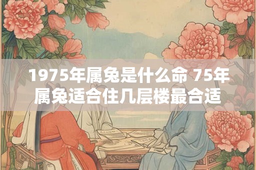 1975年属兔是什么命 75年属兔适合住几层楼最合适