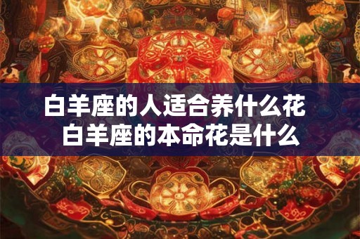 白羊座的人适合养什么花 白羊座的本命花是什么 白羊座的人适合养什么花 白羊座的本命花是什么