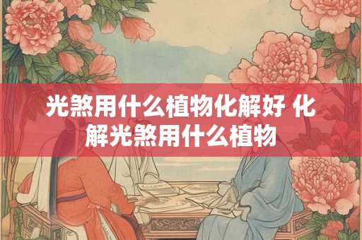 光煞用什么植物化解好 化解光煞用什么植物