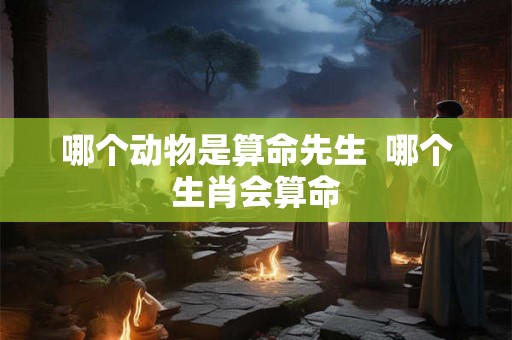 哪个动物是算命先生  哪个生肖会算命
