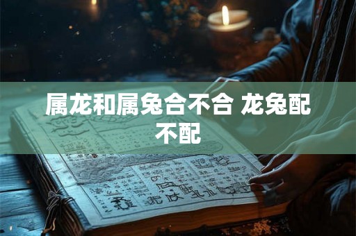 属龙和属兔合不合 龙兔配不配