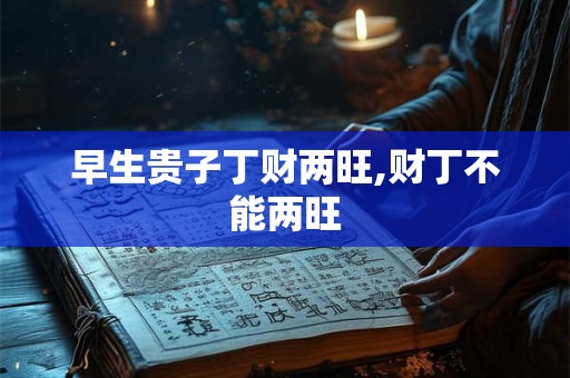 早生贵子丁财两旺,财丁不能两旺