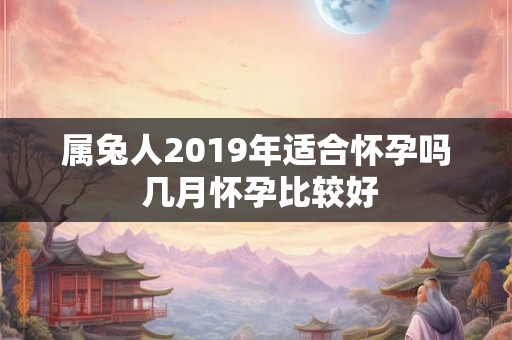 属兔人2019年适合怀孕吗 几月怀孕比较好