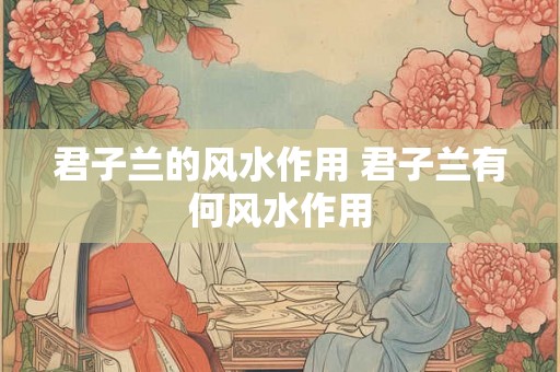 君子兰的风水作用 君子兰有何风水作用