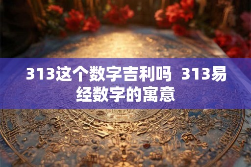 313这个数字吉利吗  313易经数字的寓意